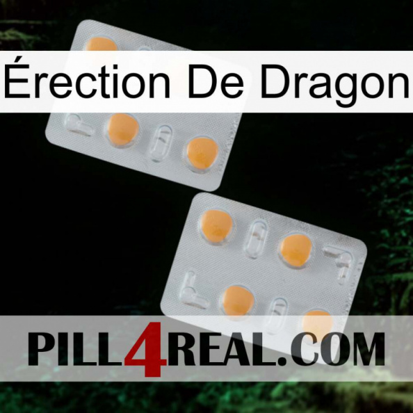 Érection De Dragon 25